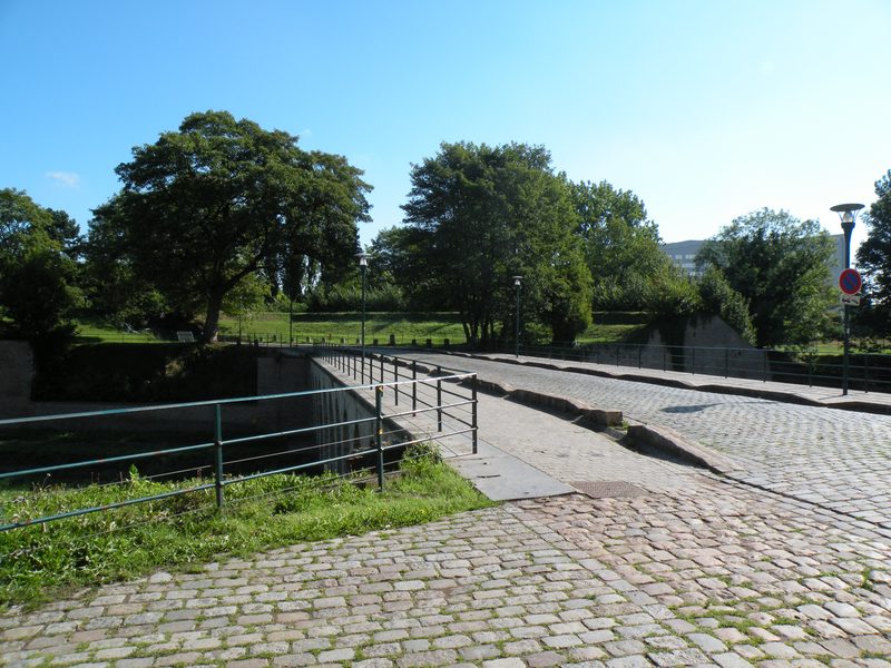  Verdure sur les remparts